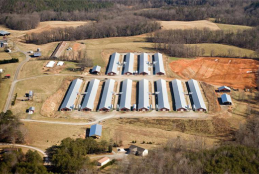 Netherlands Poultry House Project