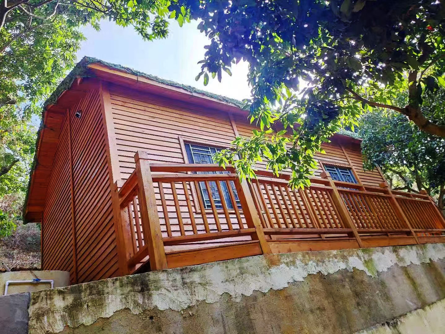 Our Tree-Adjacent Small Wooden House Elevates Eco-Tourism Experience in Shenzhen
