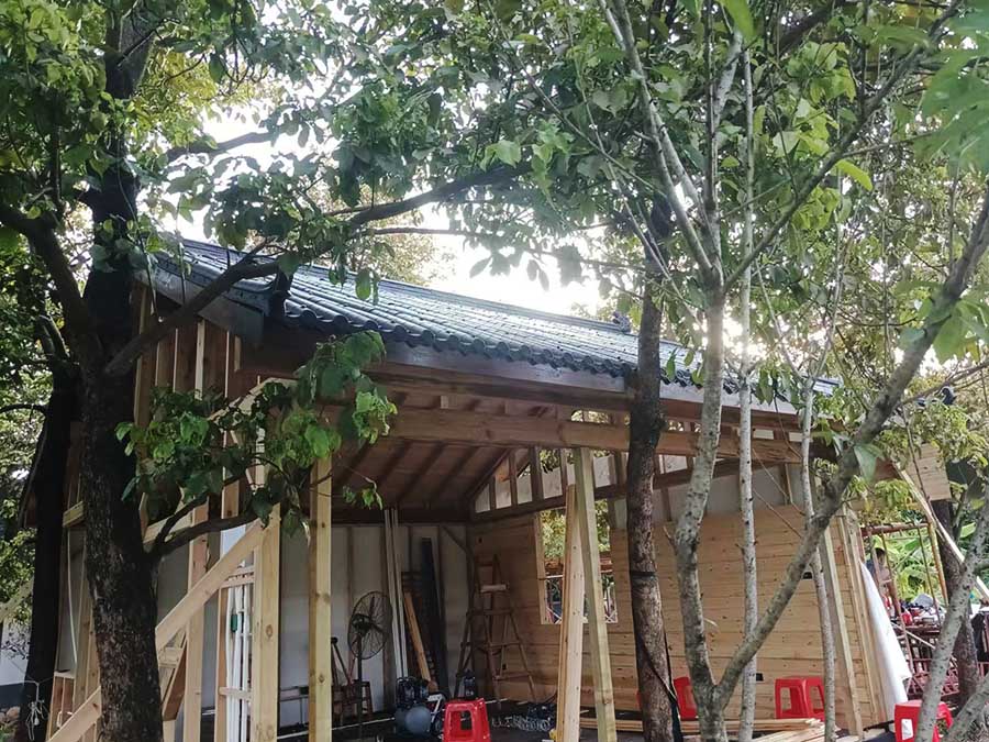 Construction Underway for Innovative Tree-Integrated Small Wooden House
