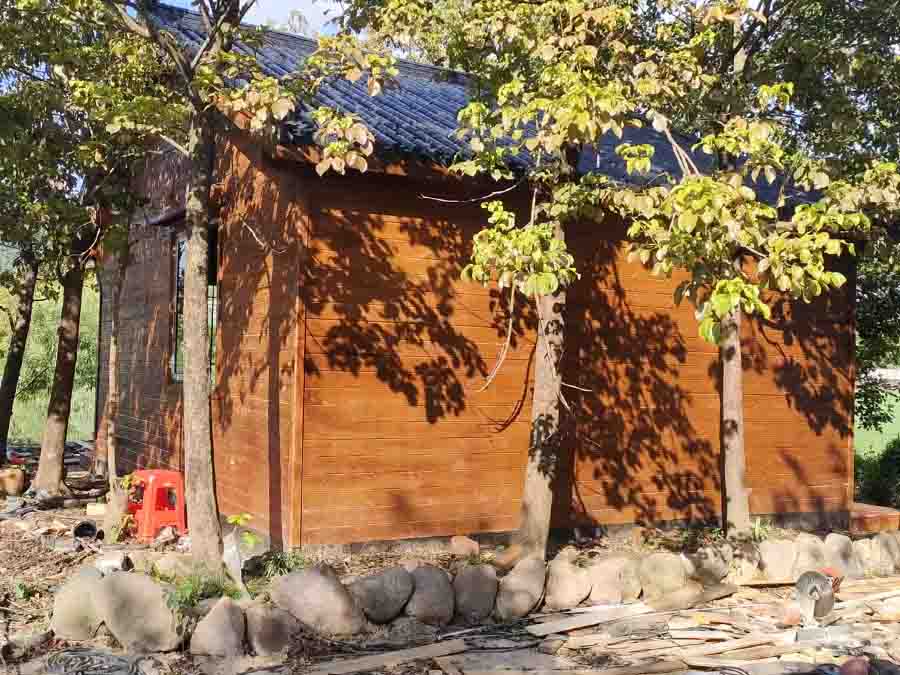 Tree-Integrated Small Wooden House Offers Multi-Functional Nature Retreat